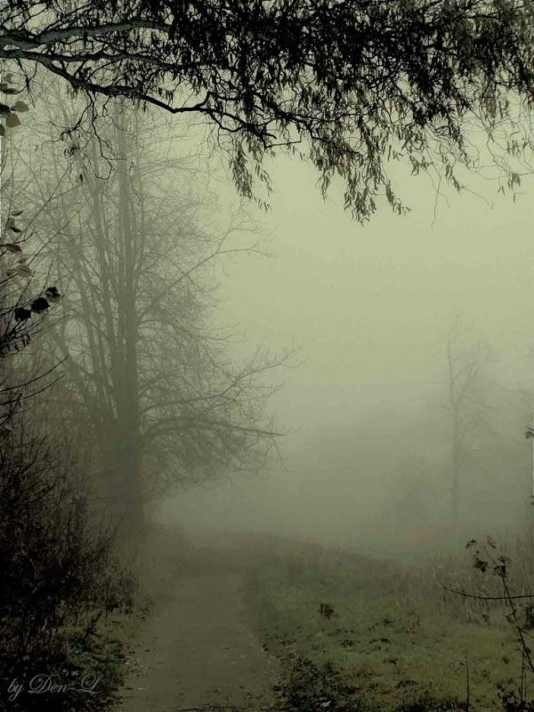 Фотовиставка Дениса Лобентовича